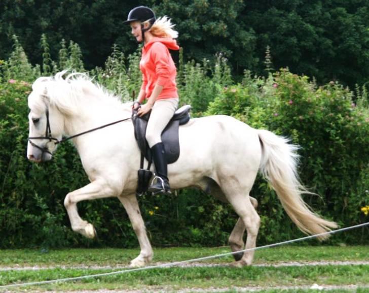 Islænder Baldur fra Lønne - Baldur og jeg i trav 19 juli 09 [Foto: Min mor] billede 11