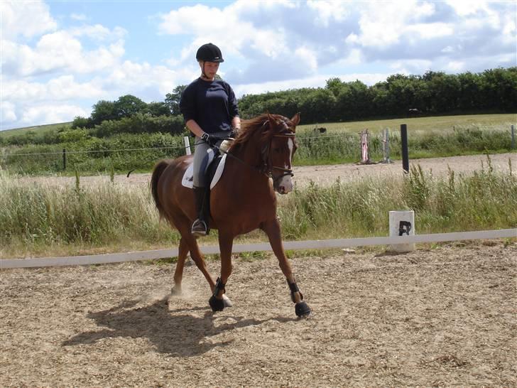 DSP Alibaba (SOLGT) - Onsdag d. 11. juni 2008 billede 9