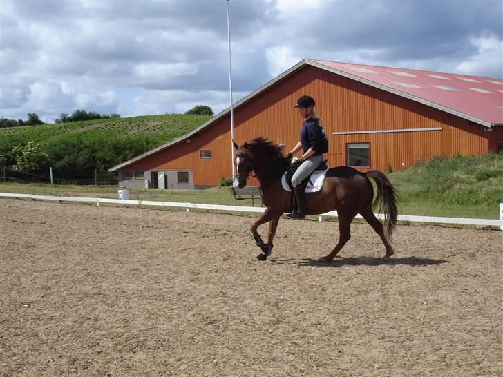 DSP Alibaba (SOLGT) billede 10