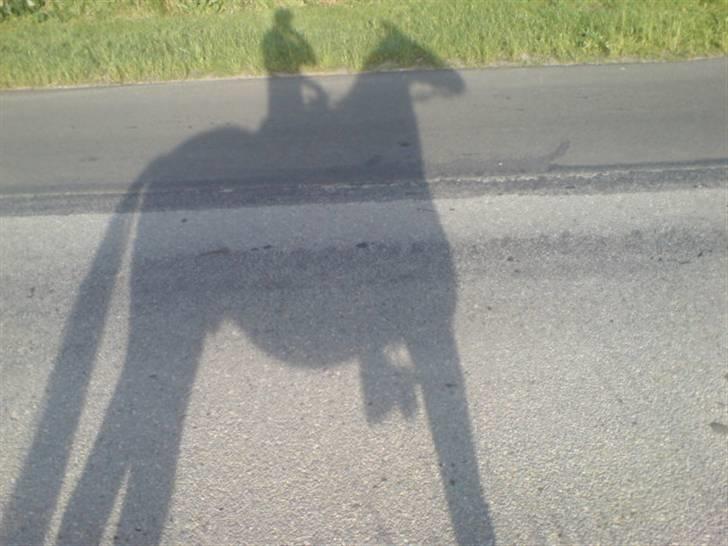 Traver Elvis Holmager (aka: Shantih) SOLGT :'( billede 16