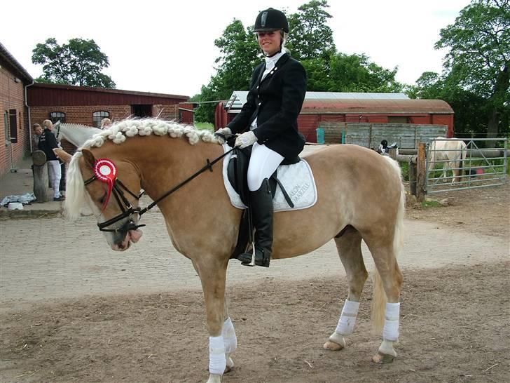 Anden særlig race Zafir - Lb1;]<3- Foto: Onkel;] billede 13