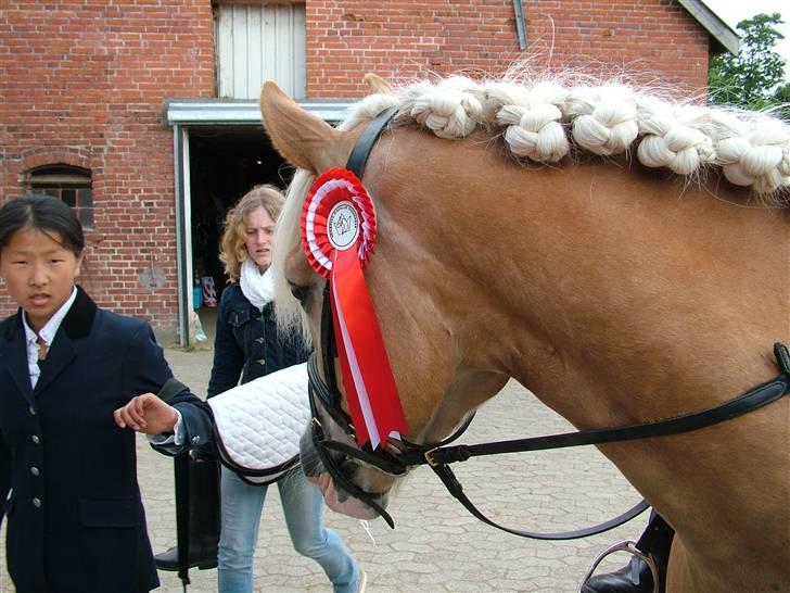 Anden særlig race Zafir - Er han ikke fin;b roset fra Lc3{:- Foto: Onkel;] billede 14