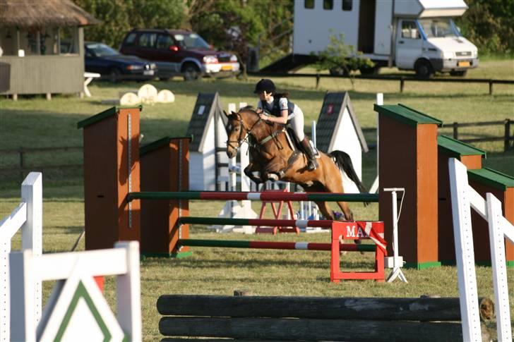 Anden særlig race Moonligt  billede 18