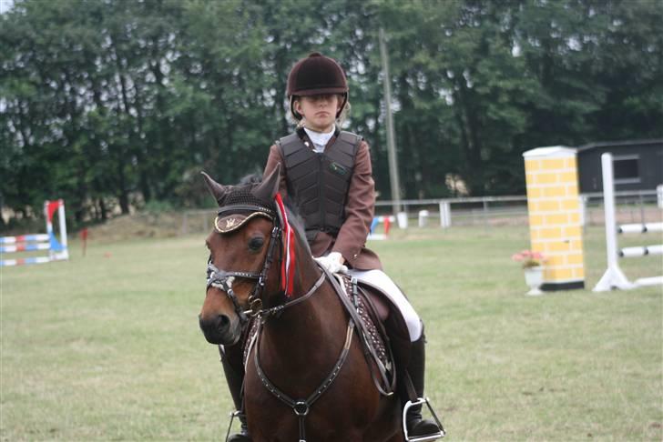 DSP Smedestedet's Kiwi billede 4