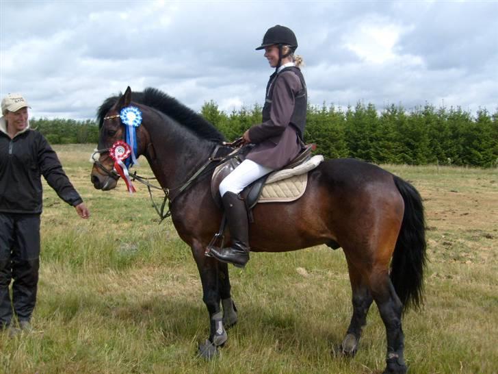 Connemara BORREDALENS EIGHT GARBO [HIMMELHEST]  - 1 pl LC og 2 pl LB (15/6-08) ;O) billede 17