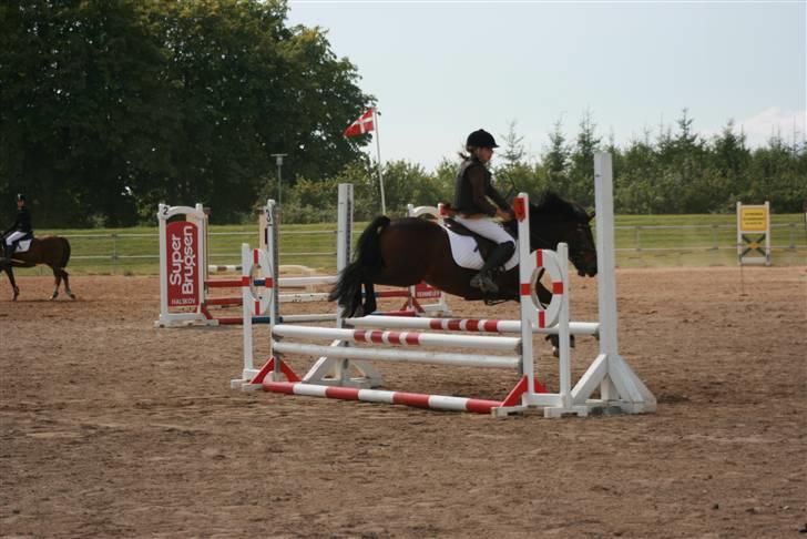 DSP Smedestedet's Kiwi - LC billede 6