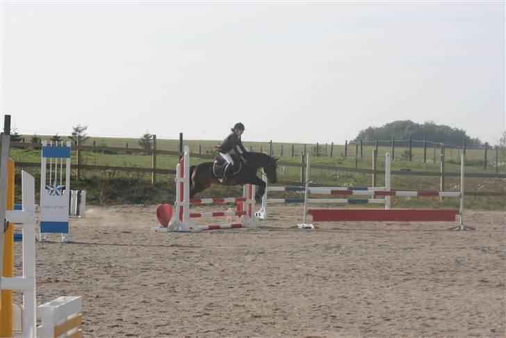 DSP Smedestedet's Kiwi - Omspringning - klubmesterskab - 0 fejl :D. billede 13