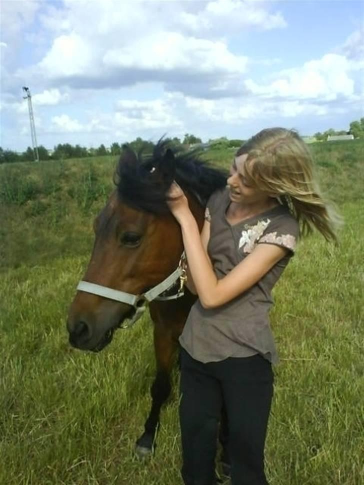 Anden særlig race Nixeline. billede 4