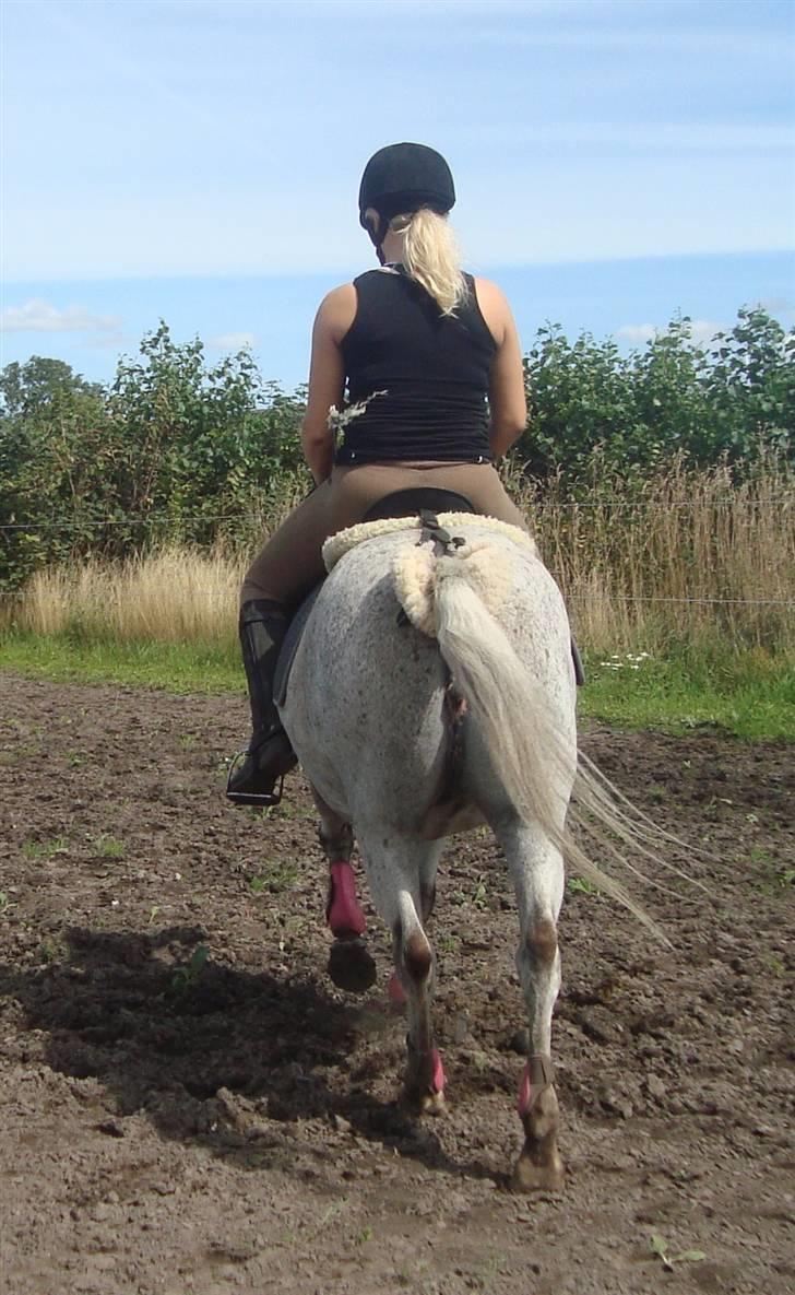 Anden særlig race Candy  - Bagfra, hun er jo slet ikke så tyk længere :D - d. 01.08.09 .  billede 5