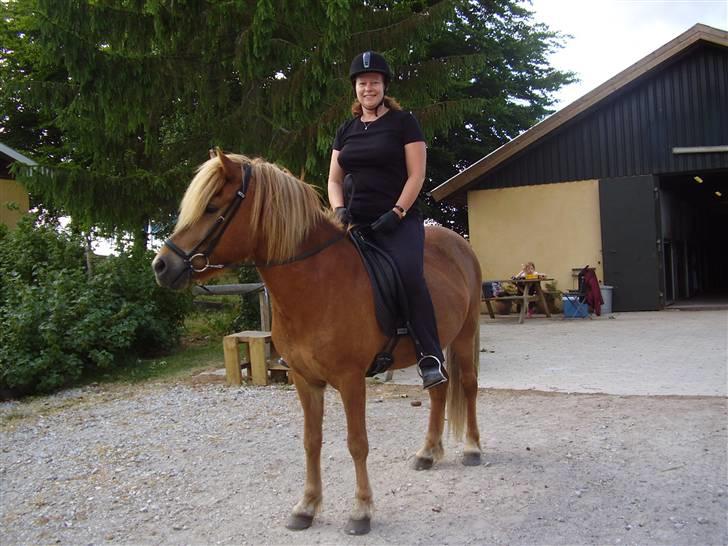 Islænder sleipnir fra solholt †RIP - sleiper og mor på vej til ovalbanen billede 13