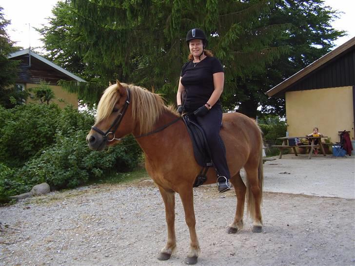 Islænder sleipnir fra solholt †RIP - sleiper og mor billede 15