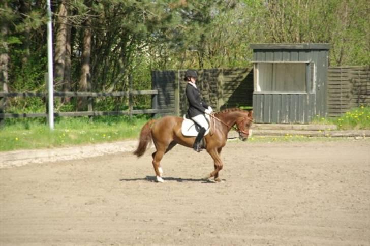 DSP Zoé Bredager billede 5