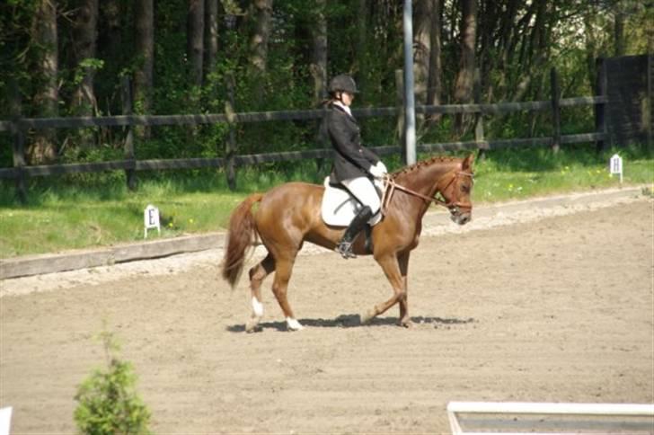 DSP Zoé Bredager billede 6