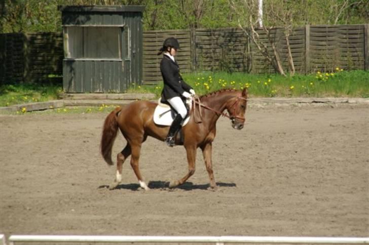 DSP Zoé Bredager billede 7