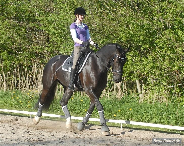 Oldenborg Østrupgård Primus billede 12