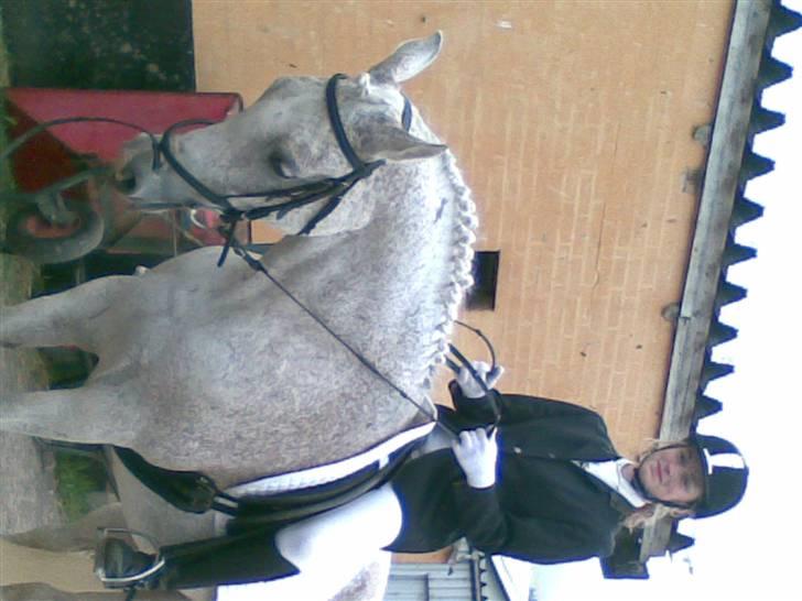 Anden særlig race Aim At The Sky - Til Stævne, skal lig til at sadle af (; billede 5