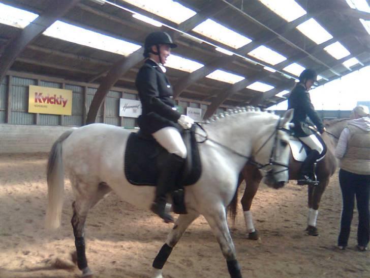 Connemara Schasmin *SOLGT*:/ <3 - Linda der rider stævne på Schasmin billede 2