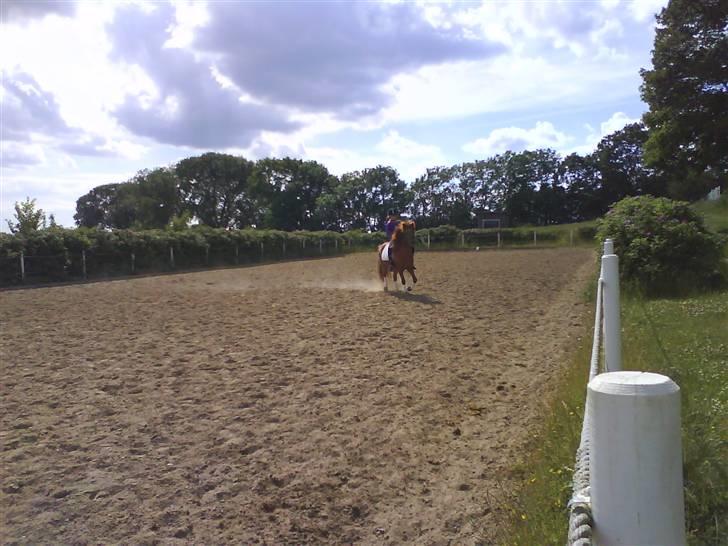 Islænder Kylja <3 Miss ya' <3 - Galop Volte Hehe :) Foto: Anja miin <33 billede 15