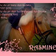 Anden særlig race Rasmine