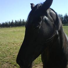 Traver Kate dybvad<3