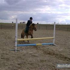 Anden særlig race Fanny