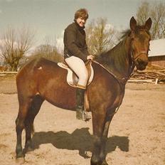 Anden særlig race Karina R.I.P.