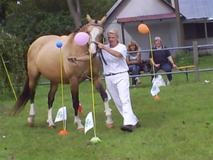 Palomino Østrupgårds Medea - Medea og jeg i agility konkurrencen på st. hestedag. blev nr 3!!! billede 10