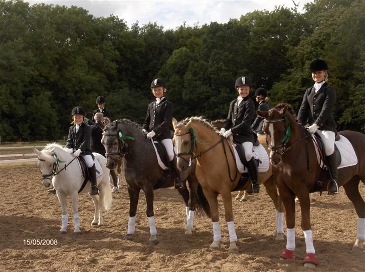 Anden særlig race Blackie - Solgt :( - 5 plads ved sydjysk mesterskab! wee =) billede 19