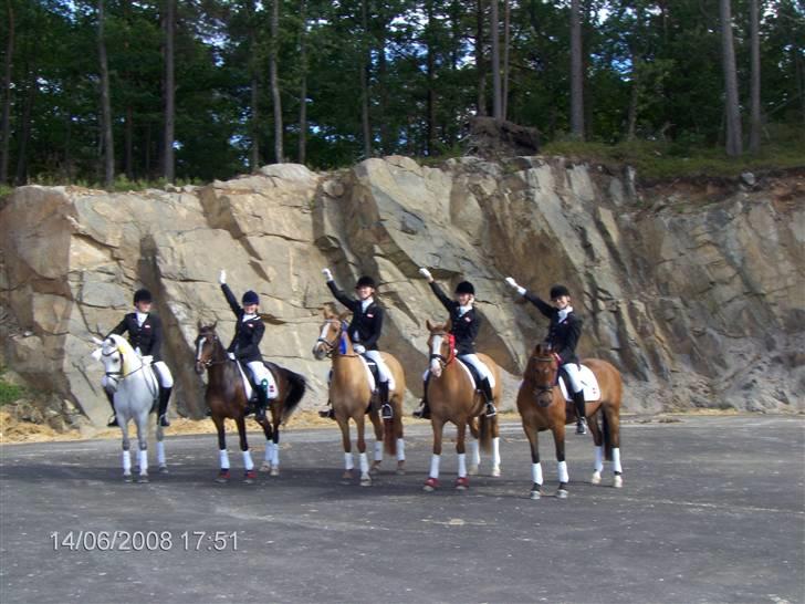 New Forest Odbjergs Idol- solgt - Til præmie overrakkelse i Norgei PRM. Nr 1 blev mig, nr 2 blev Nynne, nr 3 blev sofie, nr 4 Caroline, nr 5 Anna billede 18