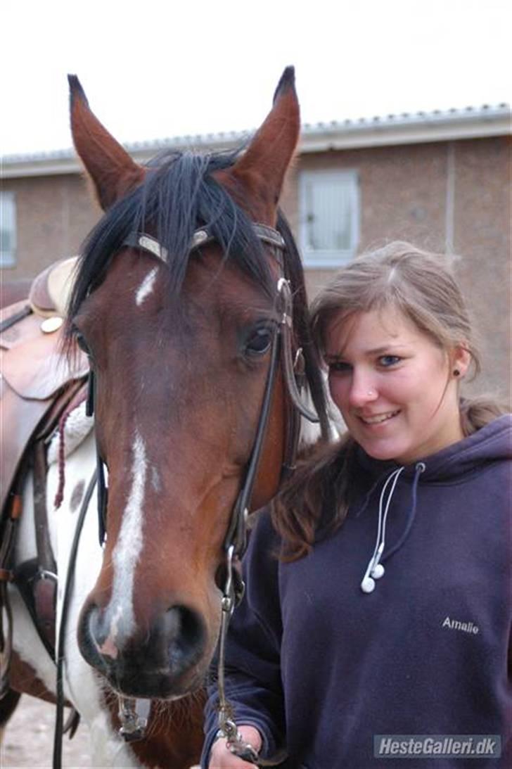 Pinto Pepino  <3  † R.I.P. † - Taget af Lasse Lildal på ANE 06/07 billede 14