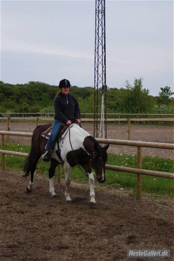 Pinto Pepino  <3  † R.I.P. † - Taget af Lasse Lildal på ANE 06/07 billede 16