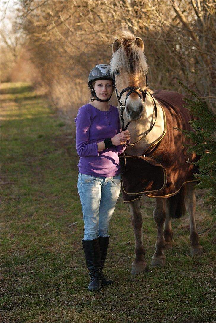 Anden særlig race Cognac billede 11