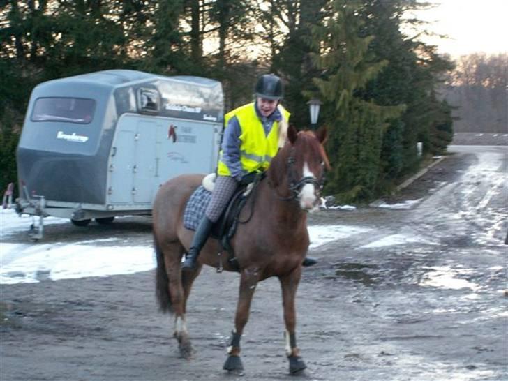 New Forest Chaos billede 5