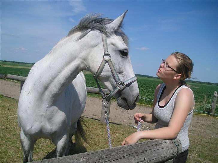 Anden særlig race Smilla  - "har du noget til mig jeg må få?" billede 4