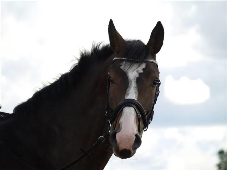 Holstener XXXCOUTURE  - min smukke lille prins i; billede 8