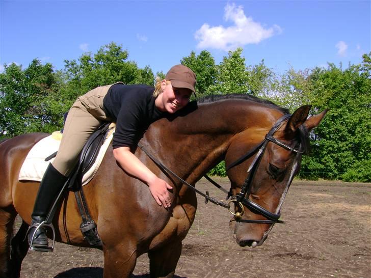Dansk Varmblod Chervi´s Castellano låne - Er vi ikk´søde.) billede 2