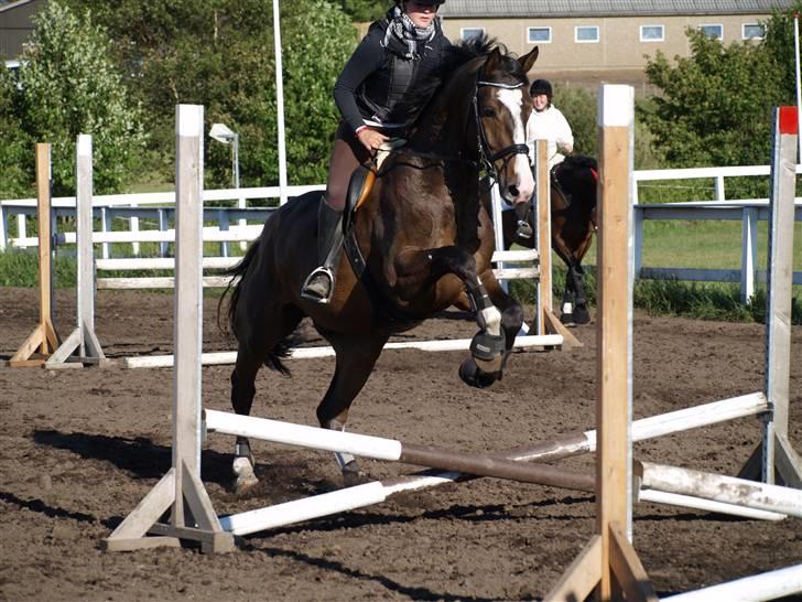 Holstener XXXCOUTURE  billede 14