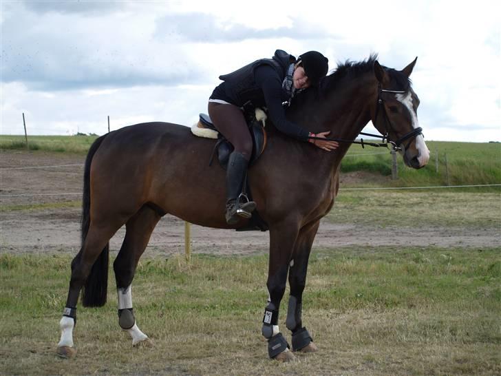 Holstener XXXCOUTURE  - my passion i; billede 16