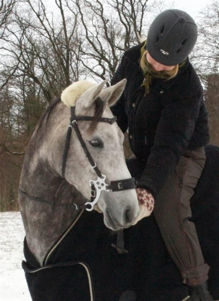 Arabisk fuldblod (OX) Filou (himmelhest) <3 - Filou og jeg ude på en snetur. billede 2