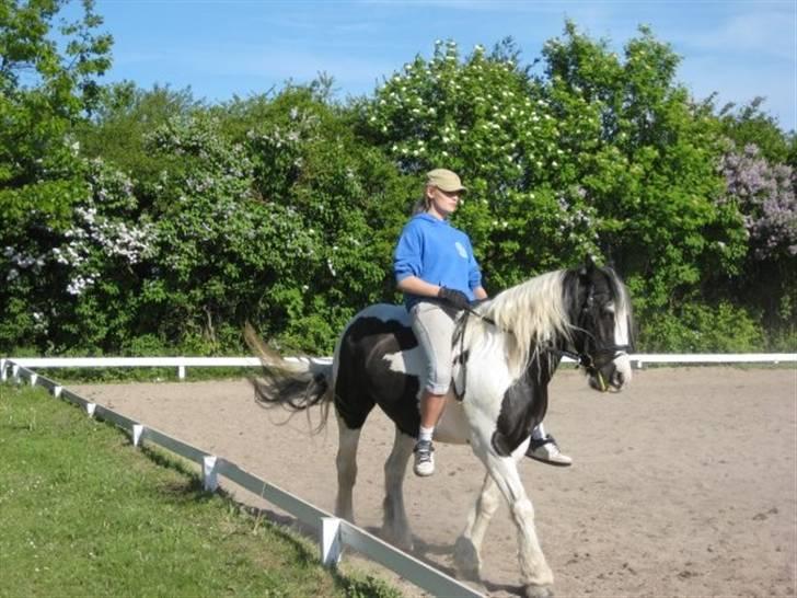 Tinker Moonlight solgt  - Min part, Maria, på Moonlight billede 12