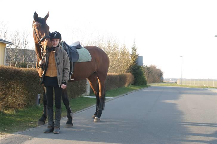 Oldenborg Rosa - Vi har lige været på en dejlig tur i øbakker billede 2