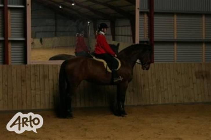 Oldenborg Rosa - Se hvor fint jeg står. billede 4