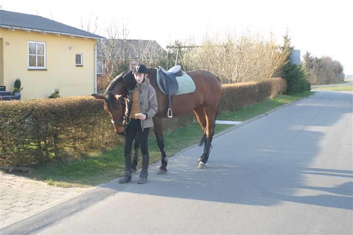 Oldenborg Rosa - ridetur billede 5