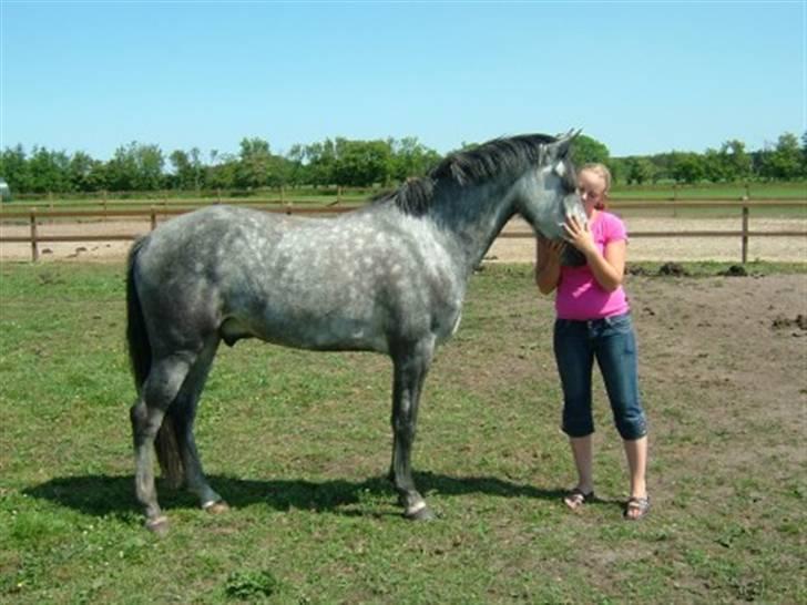New Forest Rødtjørns Geronimo *SOLGT - Mig og Geo hygger på marken - Juni 2008 billede 7