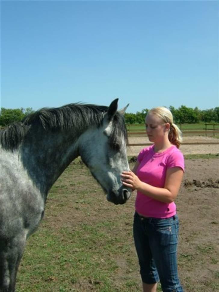 New Forest Rødtjørns Geronimo *SOLGT - Mig og Geo hygger på marken - Juni 2008 billede 8