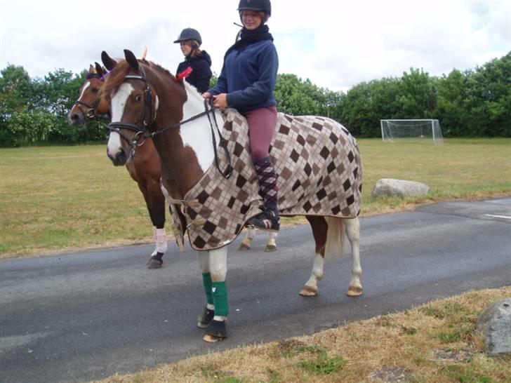 Pinto La-Chris Vesterlund - Ladelundfestival. ( La-chris som indianderpony :) ) billede 18