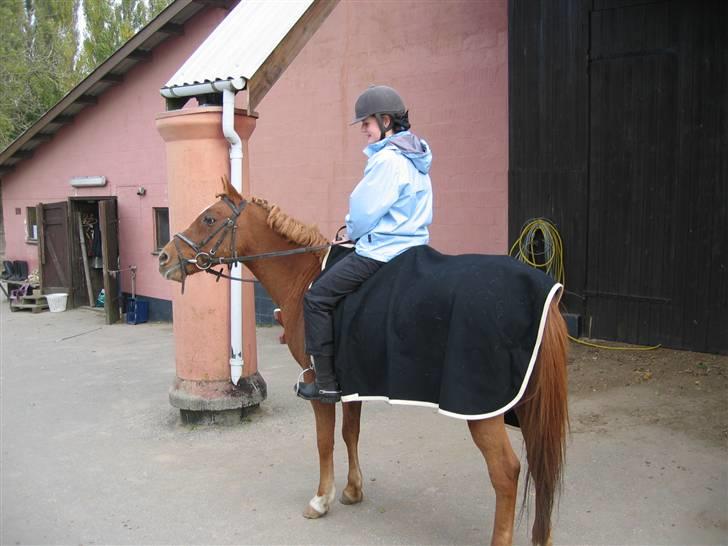 Anden særlig race Red Star(Røde) x-part - Røde & jeg. Foto: Min mor.  billede 3