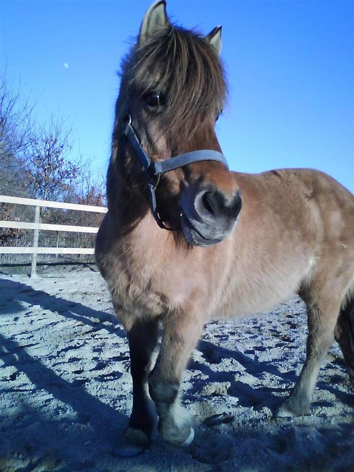 Anden særlig race Fanny - Fanny <3 ! billede 1