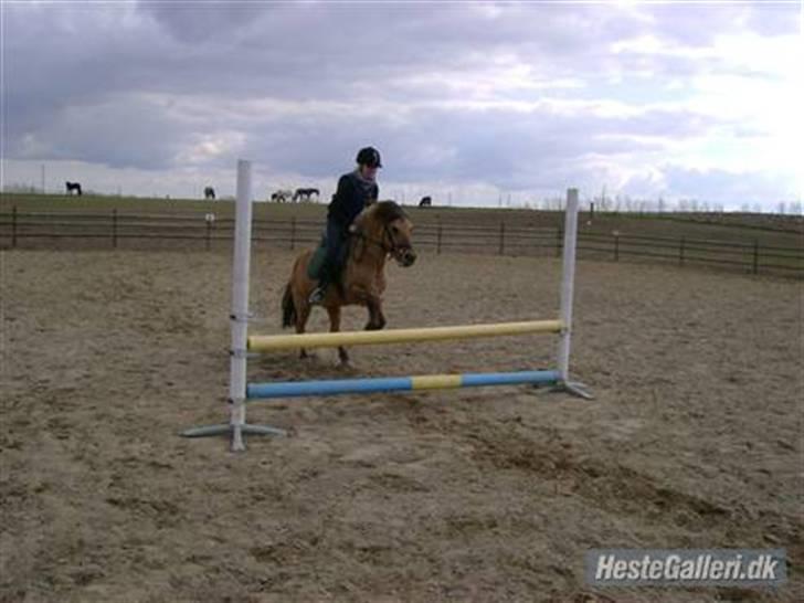 Anden særlig race Fanny - Alt går let som en leg når Fanny og jeg springer :b billede 2