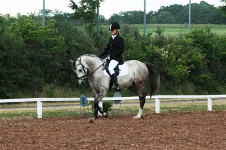 Sportsaraber (A) Miss Light - LC3 hvor vi red til 61, 25 % <3<3 billede 14